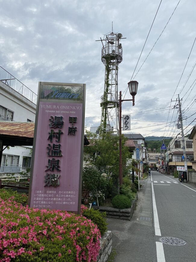 週の後半になり週末の天気が良くなることを知り、山梨の甲府に行ってきました。<br />甲府周辺の観光地を2日かけて堪能してきました。