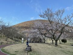 天城山と大室山、そして熱海の温泉で疲れを癒す①