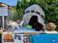 天草に浮かぶ小島は猫パラダイスだった＊湯島