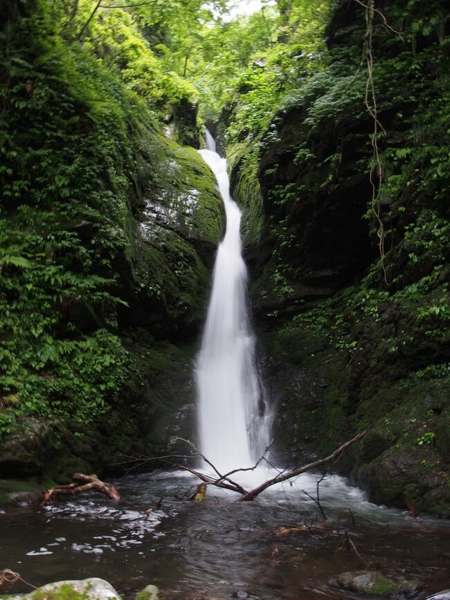 鳥取県日帰り滝めぐり（１）　滝メグラーが行く２３０　日本の滝百選・雨滝と雨滝渓谷の滝　鳥取市国府町