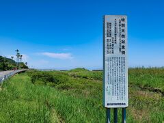 【2021国内】鹿児島へ帰省 ～マングローブの北限地、喜入へ～