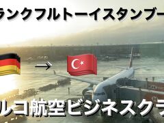 トルコ航空ビジネスクラスで行くフランクフルトーイスタンブール
