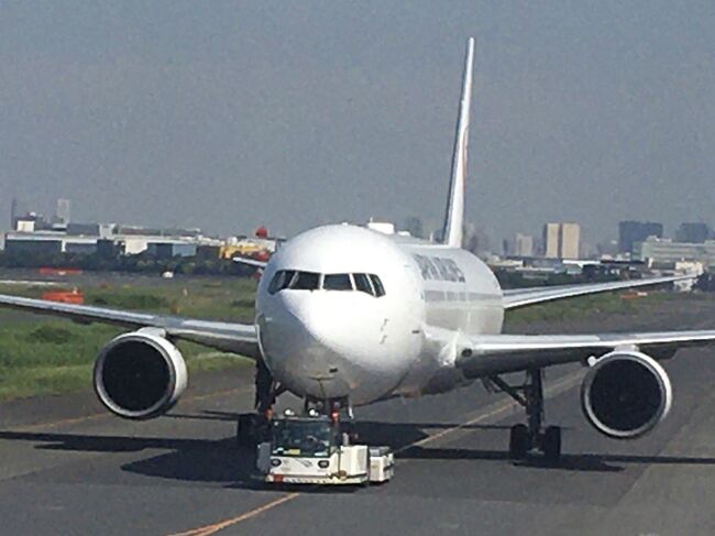 梅雨の真っ只中の那覇、空港を一歩出ただけでムワーンとした湿度たっぷりの重い空気に包まれました。既にかりゆしウェアの方もチラホラ、半袖、素足にサンダルの季節です。<br />今日は平日にしか営業していない珈琲店に行きたくて、那覇を一往復します。<br /><br />表紙は羽田空港内走行中に見られた駐機中の飛行機の正面写真