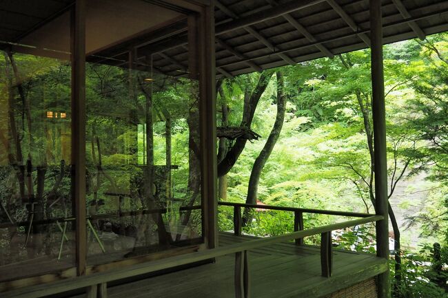 鎌倉 一条恵観山荘＊青もみじと紫陽花の競演＊ちょこっと花手水☆彡