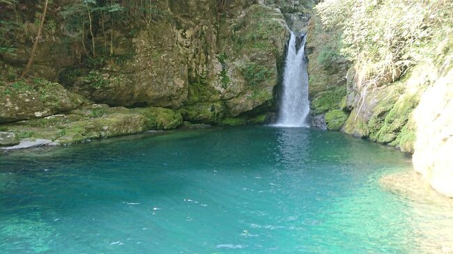 仁淀川支流の「にこ淵」は、ため息が出る程の美しい滝湖でした。<br />珍しいツガニうどんも頂いてきました。<br />