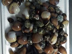 潮干狩りのあとは温泉で砂と汗を流します