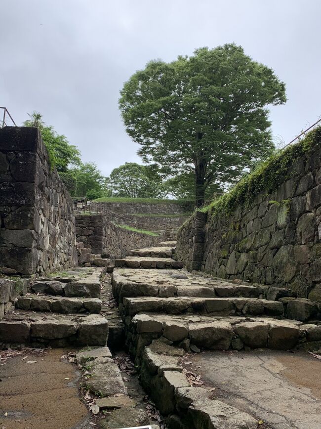 この城、どう攻める！　金山城址