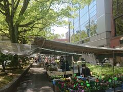 高知市 木曜市と帯屋町