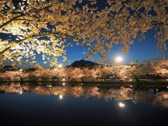 ２泊４日でドライブ旅、見てみたかった弘前公園の桜と花筏を見に弘前へ【３】満開の桜と花筏