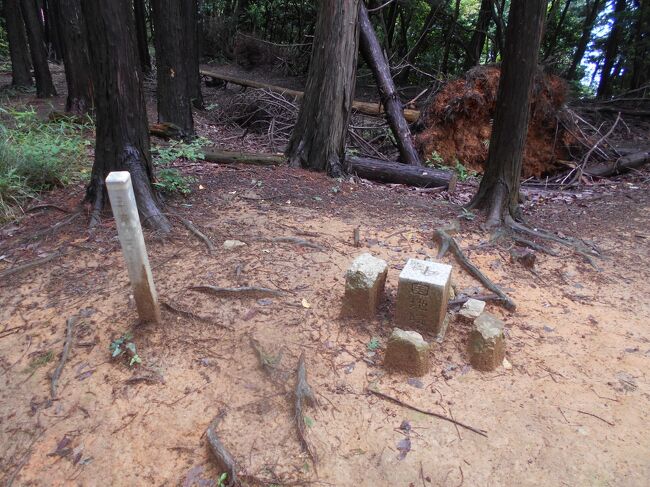 高槻市公園墓地のてっぺんには四等三角点がある。ここから山を登ると太閤道に出る。少し東へ行くと若山山頂だ。山頂には三等三角点がある。二つの三角点の大きさを比べてみた。