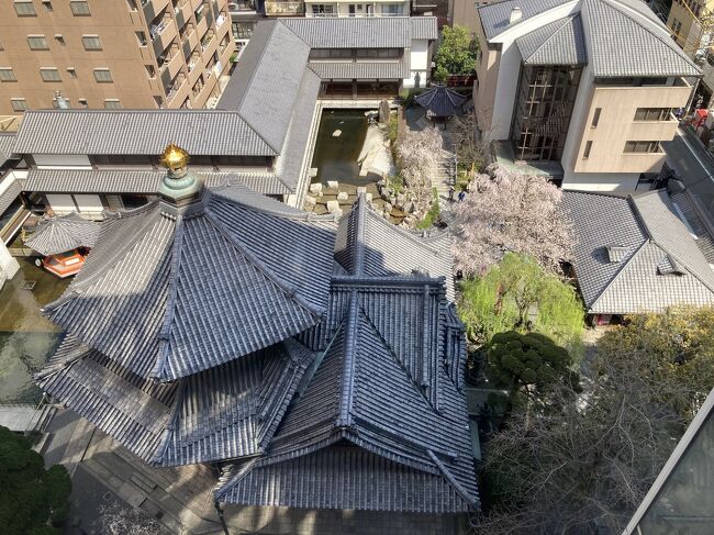 今年は早かった・・・紫雲山頂法寺 六角堂の桜（備忘録）