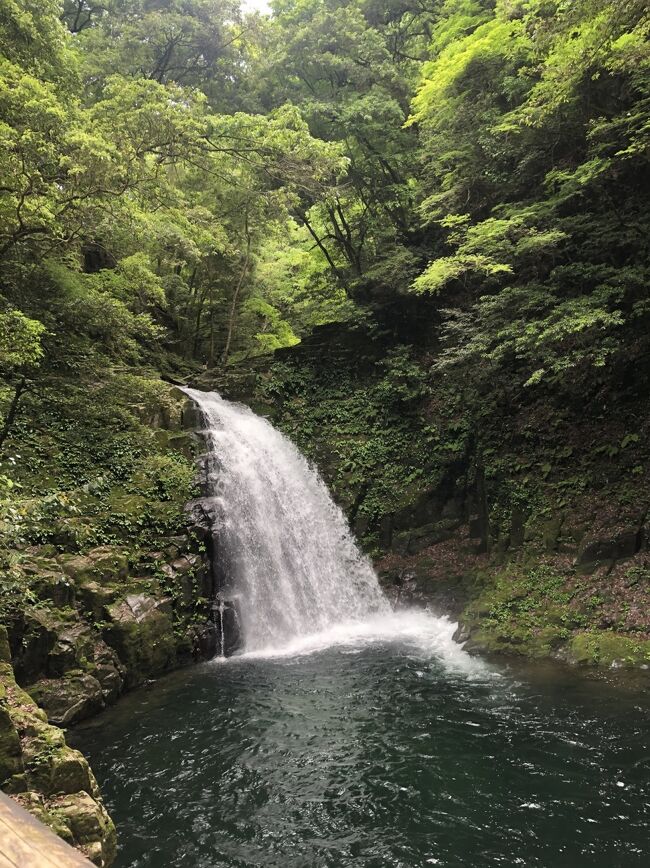 5月の赤目四十八滝ハイキング