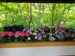 初夏の鎌倉散策（まんだら堂～旧華頂宮邸～一条恵観山荘）