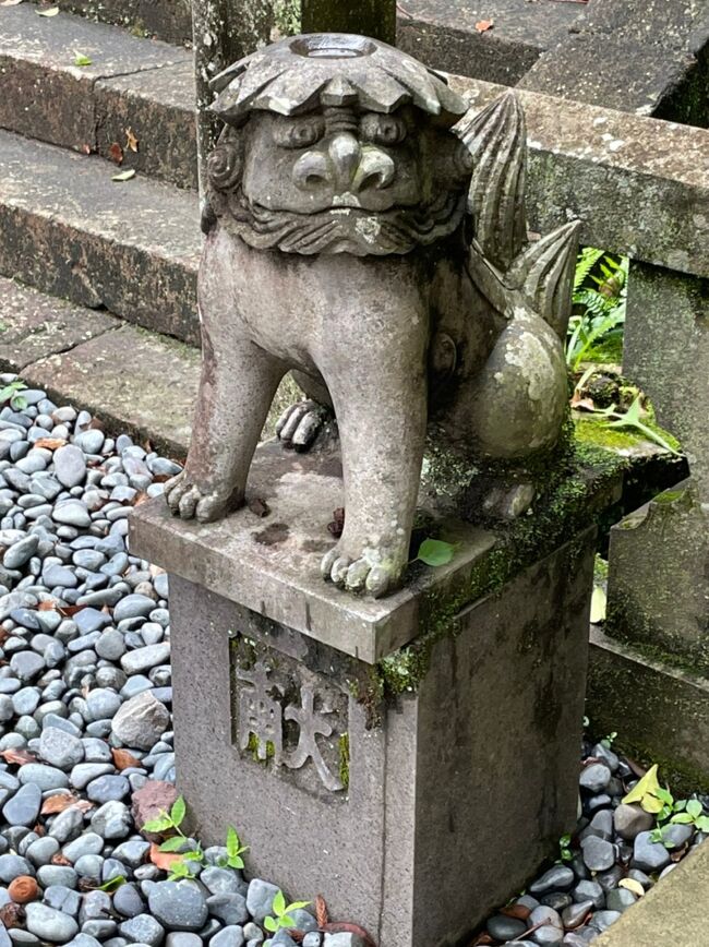 県独自に出された長崎市への緊急事態宣言で、観光施設は閉園、休業が多く、行けるところは限られてしまうので、帰り便の時間までのんびりと回りました。 最終日の記録です。