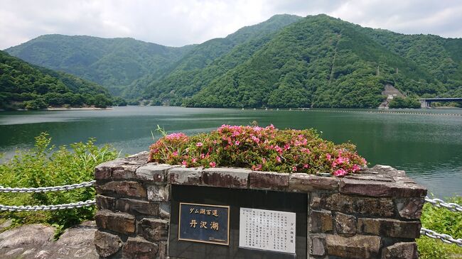 丹沢湖にドライブに行った