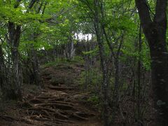 甲斐大和からの大谷ヶ丸と滝子山のハイキング