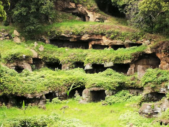 鎌倉時代に鎌倉と三浦半島を結ぶため、尾根を切り開いた街道が残っています。<br /><br />険しい山道は名越切通（なごえきりどおし）と呼ばれ、重要な交通路であると同時にその険しさは南部の敵から鎌倉を防衛する目的もあったようです。<br /><br />この名越切通の中に不思議な集団墓地があって毎年２回だけ公開されてます。<br /><br />まんだら堂やぐら群という国指定史跡で崖に掘られたタテヨコ2mの横穴に供養搭が150基立っています。<br /><br />実は周囲の未公開のものも合わせると、供養塔の数はさらに多いのではないかといわれています。<br /><br />まんだら堂やぐら群のことは以前から不思議な場所だと思っていましたが、山道が険しいだけでなく、周囲には火葬場や心霊スポット小坪隧道があって、今まで足が向かなかったのですが、この日は天気がいいので、ぶらぶら行ってみました。