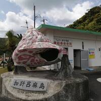 のんびり景色を楽しむ奄美　③加計呂麻島