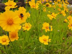 越前海岸でソロキャンプ　5月29日~30日