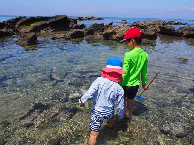 孫たちと三浦半島 行き当たりばったり