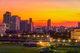 久しぶりに朝の散歩。そして、撮らずにいられなかった夕陽、更に夜景