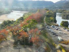 京都 八幡 背割堤(Sewari-tei Embankment, Yawata, Kyoto, JP)