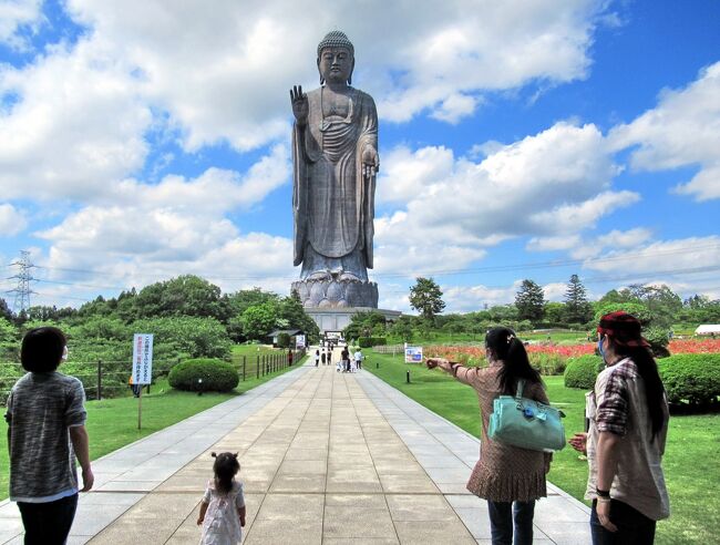 圏央道を走ると迫ってくる巨大な「牛久大仏」・・・一度お詣りに行こうと思っていましたが、取手で所用があった帰りに立ち寄ってみました。<br />1992年に完成し、全高が120ｍもある世界一のブロンズ仏像・・・出来た当初は新興宗教によるものか観光用かと思っていましたが、この大仏様は浄土真宗・東本願寺の阿弥陀如来像です。<br />茨城県は浄土真宗の開祖・親鸞聖人（1173～1262）にとってゆかりの地・・・後鳥羽上皇が敬愛する美人の女官姉妹・松虫姫と鈴虫姫が念仏集会へ参加してそのまま出家したため、激怒した上皇は1207年、親鸞を越後の国へと流罪に処します。<br />1211年に赦免されたものの、親鸞は関東の地を布教するため常陸国に移り、関東における布教の拠点とました。<br />そのため、茨城県内には親鸞ゆかりの寺や事跡が多く残っており、この牛久の地も聖地のひとつになっています。<br />広大な苑内には大仏様の他に小動物園やお花畑もあり、コロナ禍の中、多くの人々が訪れていました。<br />そしてもう１か所、つくばみらい市にある「不動院」へ立ち寄り・・・ここは真言宗豊山派の寺院で、広い境内には見事な三重塔がありました。