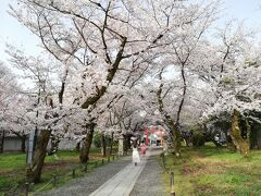 路線バスで京都を歩く2103　「市バス204号系統に乗って、哲学の道＆南禅寺＆インクライン＆平野神社で桜を見る。」　～京都～