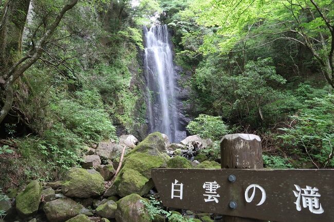 6月2日から1泊で奥湯河原へ。宿へ向かう前には、天照山ハイキングコースで白雲(はくうん)の滝を目指します。たっぷりかいた汗は、文豪に愛された老舗旅館「加満田」で流しましょう。時期が合えば、奥湯河原では蛍を観られるかも―。