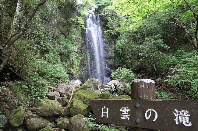 6月2日から1泊で奥湯河原へ。宿へ向かう前には、天照山ハイキングコースで白雲（はくうん）の滝を目指します。たっぷりかいた汗は、文豪に愛された老舗旅館「加満田」で流しましょう。時期が合えば、奥湯河原では蛍を観られるかも―。