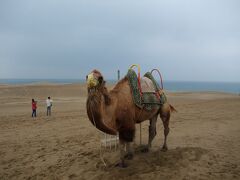 蟹かにカニ三昧☆城崎＆鳥取＆天橋立☆～鳥取編～