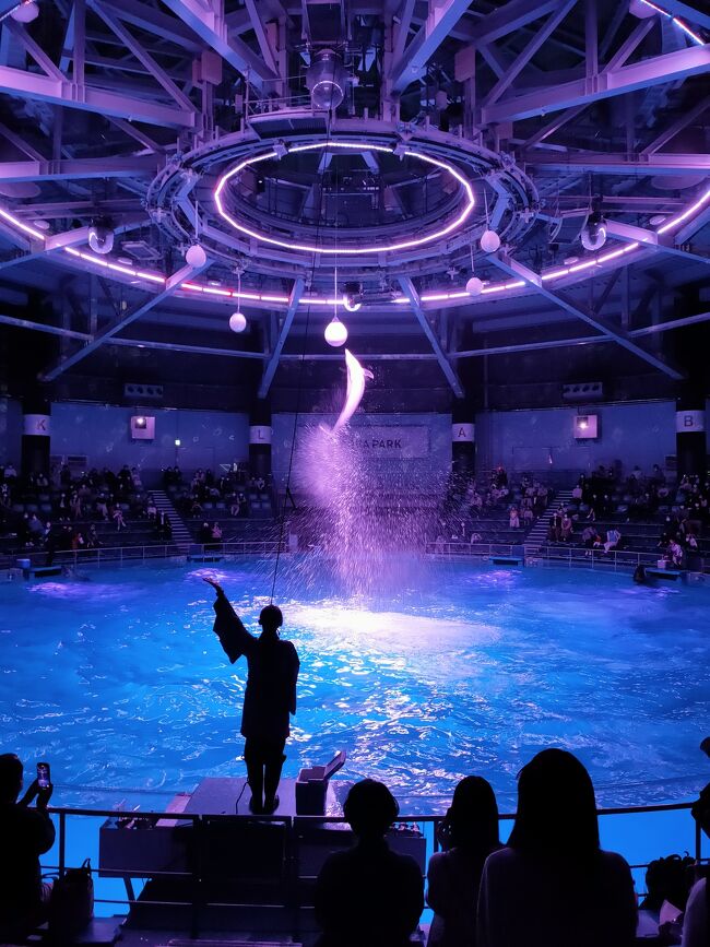 久しぶりに水族館ヘ。<br />入館には整理券予約が必要ですが<br />17時以降だと予約せずに入れます。<br />プリンスホテル宿泊割引と<br />LINE Pay50%還元キャンペーンで<br />850円で楽しめました。<br />イルカショー良かった。<br />動画はインスタで。<br />https://www.instagram.com/erii.shii/<br /><br />公式HP<br />http://www.aqua-park.jp/aqua/<br /><br />新しいショーも始まったようです<br />http://www.aqua-park.jp/aqua/event/<br /><br />～2021年8月1日<br />デイバージョン「Sky Symphony」<br />11:30／13:00／14:30／16:00／17:30 <br />6月18日・25日 17:30 なし<br /><br />ナイトバージョン「Beauty of Flower」<br />19:00<br />6月18日・25日  実施なし