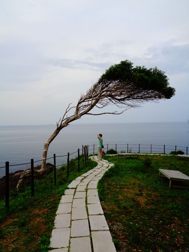 能登半島の先っぽに、日本三大聖域のひとつ「青の洞窟」があった