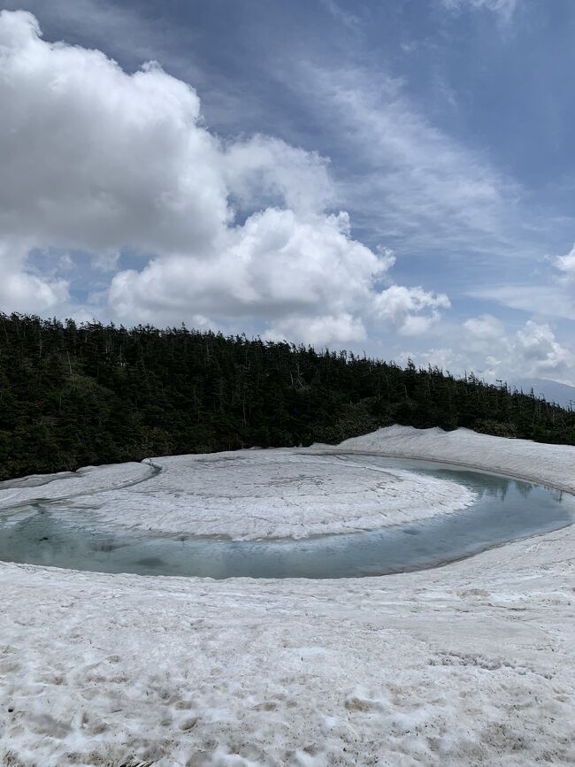 以前八幡平に行ったとき、鏡沼がこの時期（５月下旬～６月上旬）限定でトラゴンアイにかわることを知り、行ってきました。<br />今回も神戸空港ーいわて花巻空港　FDAタイムセールひとり１４０００円のプラン（もうちょっとまけてほしいわ）を利用、小さな飛行機だけど機内でのお茶お菓子サービス付きの、預け荷物ただは嬉しいです。CAさんもピ〇〇のようにたどたどしい英語（別のこの時期英語はいらんけどあの英語聞くとテンション下がる）ではなくサービスもGOODでした。