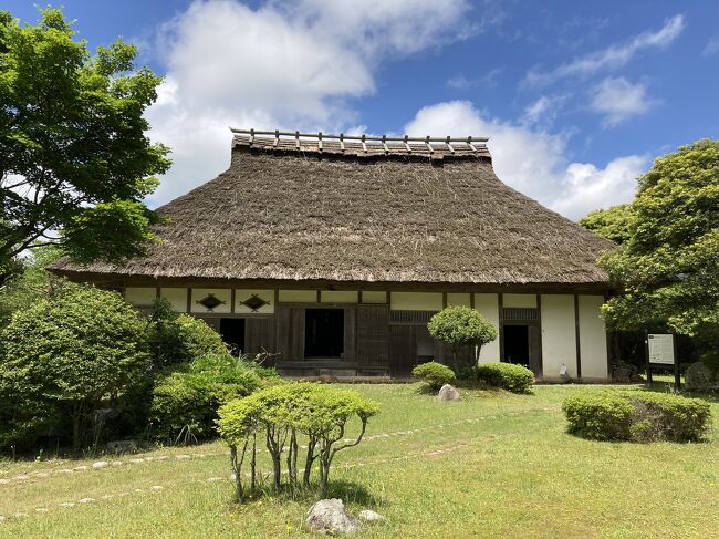 JALスーパーセールで行くDQW島根・鳥取コンプ旅　Day3/3　隠岐の島