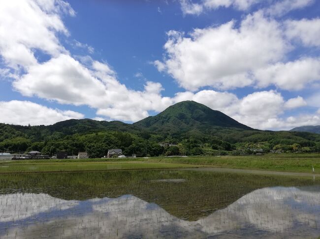 長引く緊急事態宣言。疲れもMAX。ワクチンまだ。<br />梅雨前、夏前に一度旅しておきたいのに～。歩き回るから雨や暑いのは困る。<br />コロナ太りも気になるところ。食に走ると危険。今の私に必要なのは温泉。<br />てことでいつもの交通費安上がりの高速バスの行き先をチラチラ見ていると「池袋からバス１本の別所温泉」発見。<br />しかも源泉かけ流し無加水無加温、飲めるらしい。素晴らしい♪<br />でも休めそうな日が生憎雨予報。山の方だから土砂崩れとか心配。<br />まぁ警報レベルじゃないし翌日はもう止むみたいだし、温泉入るだけで観光しないしなと直前まで悩むも一泊二日の温泉旅行決行。<br />結果二日目は表紙の通りの快晴。東京より暑い２７℃。<br />観光しない予定が貧乏性のため、別所温泉から歩きで道の駅あおき、田沢温泉有乳湯に行き(←別所温泉から歩いて行ったという旅行記はなかった。8.5キロ。歩くつもりはなかったんだけど。途中峠越えで山の中迷子になるというハプニングつき。滑ってドロだらけ。)<br /><br />リュックにいっぱい道の駅で買った野菜を詰め込んで滝汗かきながら帰りました。<br />温泉で疲れを取るはずがいつもこうなってしまう。<br /><br />長野も今週末から梅雨入りらしいのでギリセーフ。<br /><br />高速バスは平日なのもありガラ空きでした。<br />素泊まりで１日目は部屋に籠もって持ってきた食料を食べ、温泉では話さないようにし、風呂上がりに脱衣所ではすぐマスク。パンツ履く前にマスク笑。全裸マスク。<br />宿：別所温泉　上松や<br />　　素泊まり1泊5600円くらい。旅行サイトのポ　　　　　　　<br />       イント使用で4600円。<br />往復高速バス(池袋ー別所温泉)：3300円✕2<br /><br />