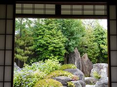 20210605-1 京都 建仁寺塔頭、霊源院の紫陽花は甘茶と言うそうです