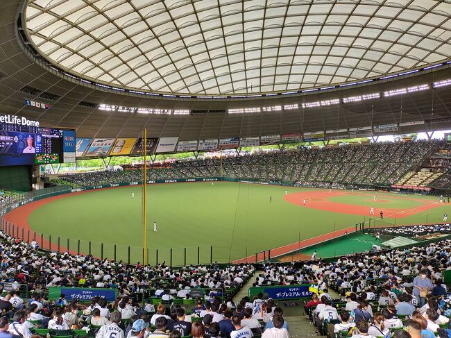 7年ぶりのプロ野球です。会社の同期と。