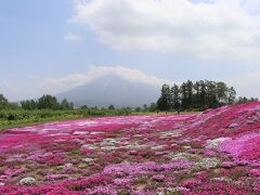 羊蹄山と芝桜の写真を撮りに行ってきた