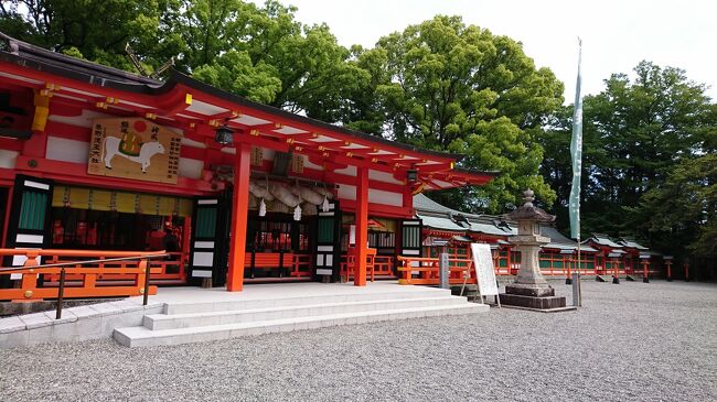 ホテルなぎさや→速玉大社→神倉神社→七里御浜→花の窟神社→熊野川<br />新宮市から熊野市の観光をしました。