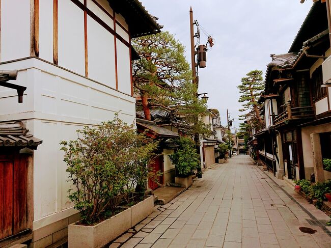 濃厚抹茶ソフトを食べて善光寺の裏通りを散策