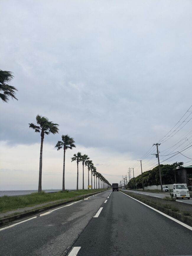 ゴールデンウィークに木更津にあなごを食べに行くつもりがあまりの渋滞に断念。。リベンジは東横イン利用で一泊たびに(*^^*)