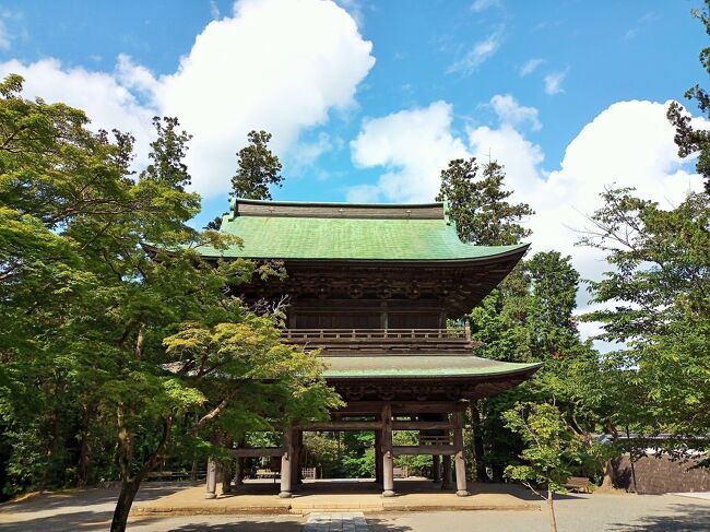 6月3日(木)<br />友人と8時に、北鎌倉駅 円覚寺の方の改札口で待ち合わせ。<br />10分前に着いたので、トイレを済ませようと踏切を渡り上りホーム改札口の方へ。<br />そのまま駅を出て、友人が遅れているのかとぼ～っと待つこと数分。<br />携帯を何度か確認して、lineこないな～って。<br />突然自分の間違えに気づき、大あわて。<br />今日は円覚寺、明月院に行くんだった、こっちの改札口じゃないよと、円覚寺前の踏切をダッシュ彡、下りホーム改札口へ戻ることに。<br /><br />六国見山(ろっこくけんざん)は、大船駅から登り、北鎌倉明月院の方へ下りてくるコースが一般的。<br />激混みの紫陽花シーズン。<br />開門と同時に円覚寺、紫陽花で有名な明月院の見学を済ませ、六国見山へ。<br /><br /><br /><br /><br /><br />