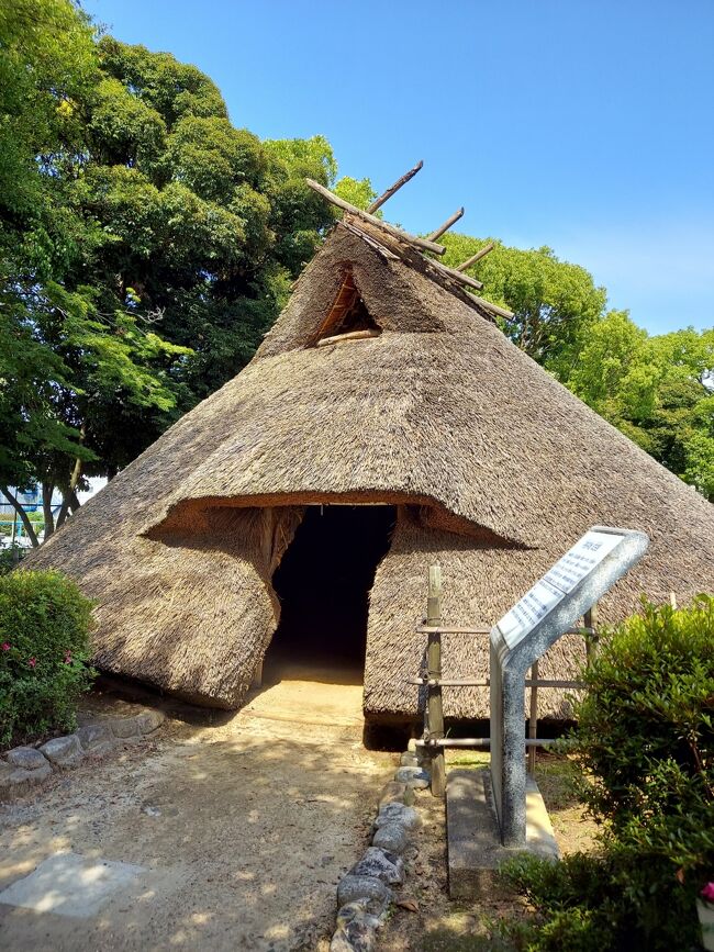梅雨の晴れ間。本格的な夏になる前に、お墓の草引きしに行かんと( `ー´)ノ<br />最近あのあたり、チャリでうろついて面白いもの見つけてるから、今回もチャリで行ってきます!どんな面白いもの見つかるかな?<br /><br />『ささはら菜園』<br />https://happysenior.asia/2021/05/22/sasahara_strawberry/<br /><br />『長寿蔵ショップ』<br />https://happysenior.asia/2021/05/25/hyouon_jyukusei/<br /><br />『owl cafe』<br />https://happysenior.asia/2021/06/10/owl_cafe/<br /><br />『自販機カフェ・軽食24』<br />https://happysenior.asia/2021/06/11/jihanki_cafe/<br /><br />『田能遺跡』<br />https://happysenior.asia/2021/06/12/tanou_remains/<br />