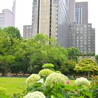 何もしてない自分に謂れなき贅沢を　　　帝国ホテル 東京　に宿泊