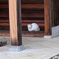 都心の住宅地