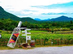 タイ３大ワイナリーの一つ、Monsoon Valley Vineyardでワインをカブ飲みするつもりが・・・