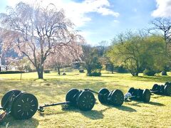 セグウェイと温泉とスイーツ大満喫の箱根旅行⛩☆