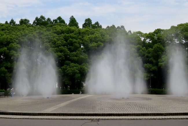 2021初夏、庄内緑地公園のバラ(1/10)：ノウゼンカズラ、キンシバイ、バラ園