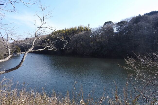 　茨城県水郷県民の森でバードウォッチングを楽しんできました。<br />表紙写真は、水郷県民の森の中にある大膳池の風景です。<br />